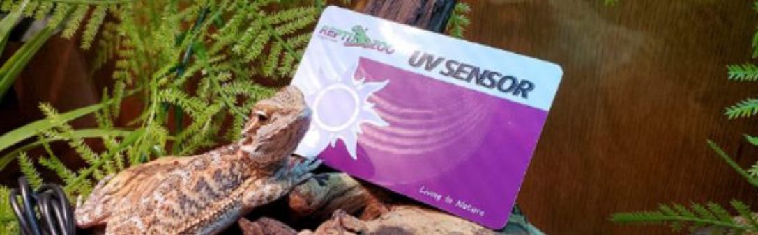 UVB Sensor je karta pro zjištění míry tohoto záření